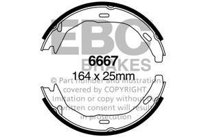 6667